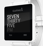 Garmin Vivoactive 4