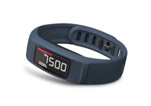 Garmin Vivofit 2 2