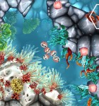 Jelly Reef 2