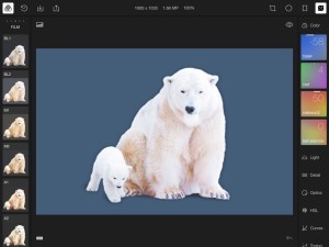 Polarr