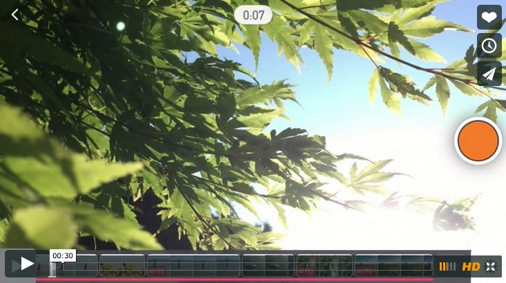 vee vimeo 2
