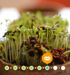 Das ist mein Essen 4