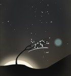 Prune 3