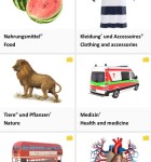 Lexi24 Bildworterbuch 1