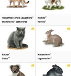 Lexi24 Bildworterbuch 4