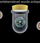 Micro World Evolution 1