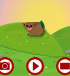 Origami fur Kinder 3
