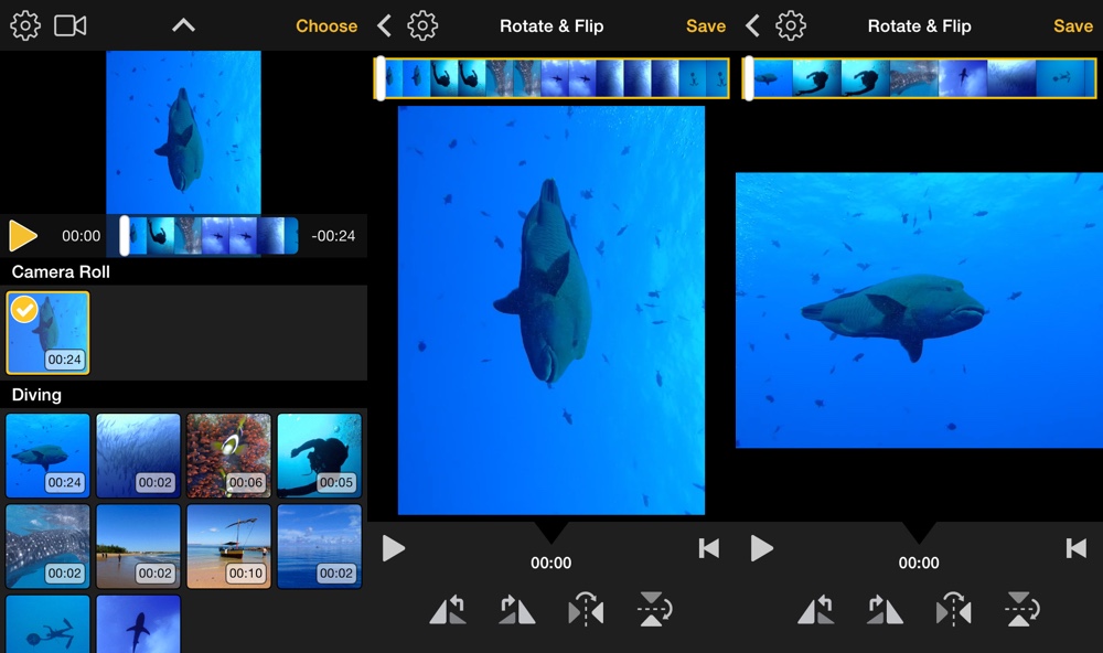 Video Rotate Flip Screens
