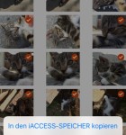 Leef iAccess 3