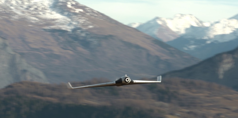 Parrot Disco Flug