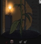 Abandoned 4