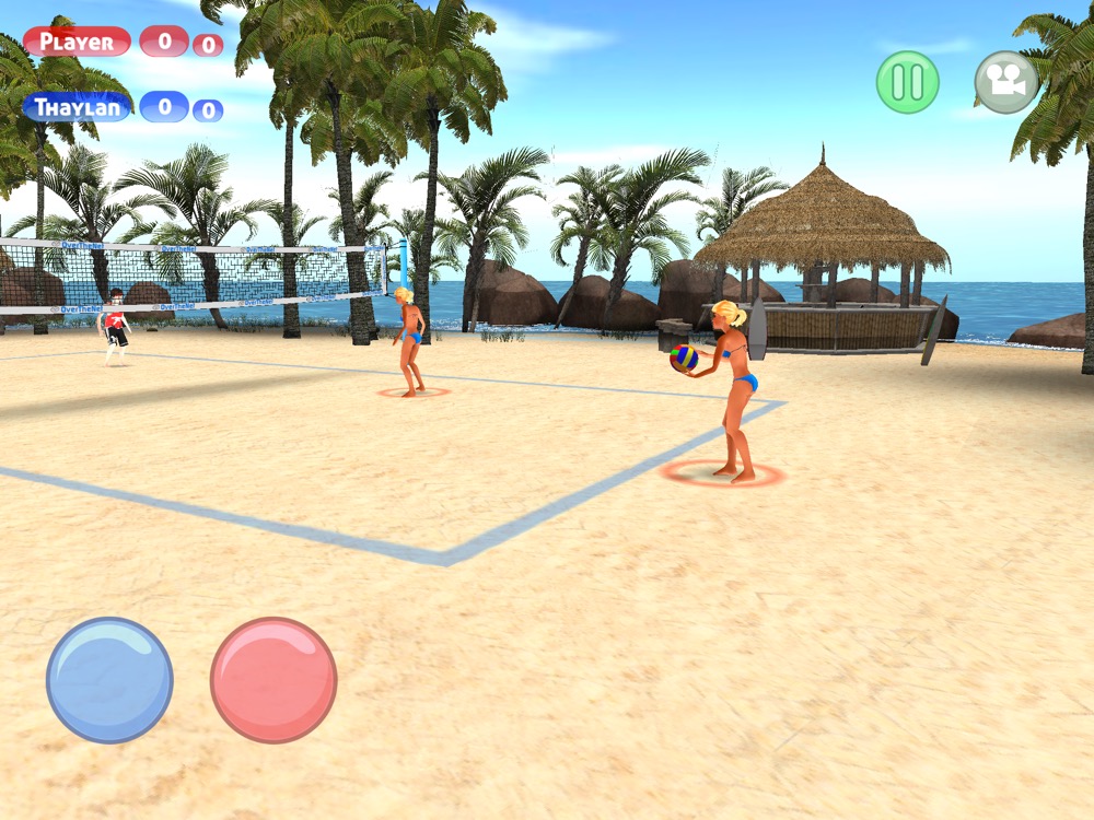 Over The Net 3D