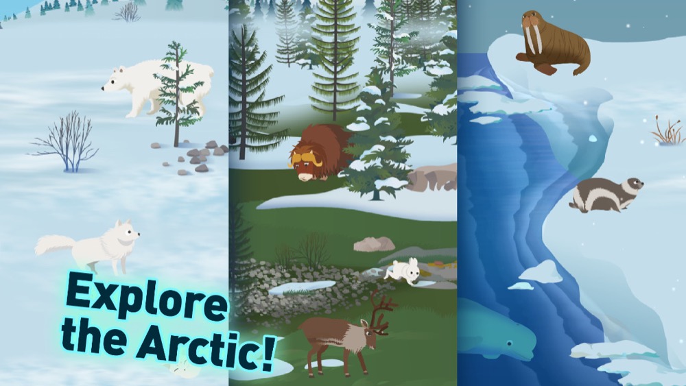 MarcoPolo Arctic