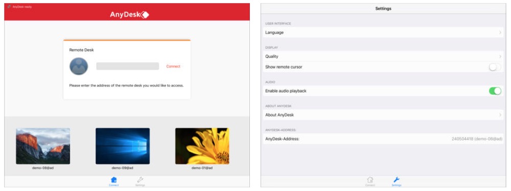 AnyDesk