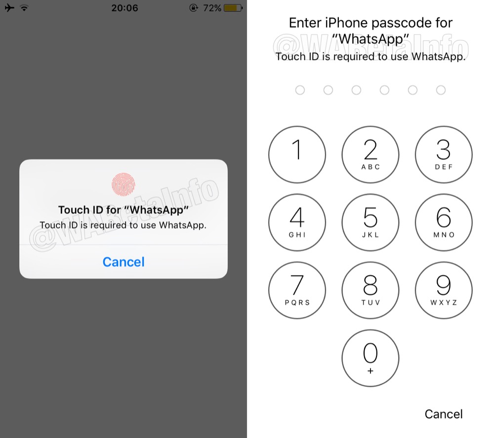 toich id whatsapp