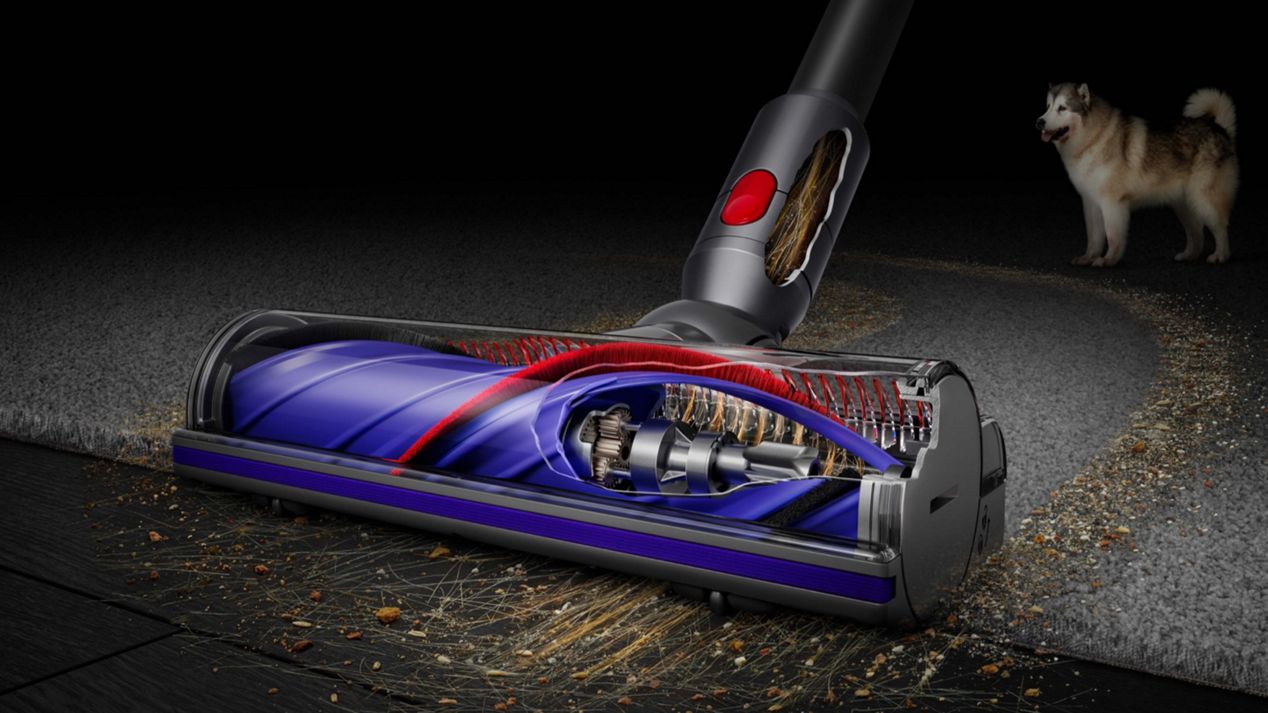 Dyson V8 Walze