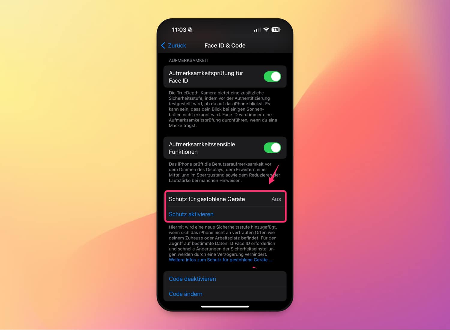 Einrichtung von "Schutz für gestohlene Geräte" im Menü von iOS 17.3