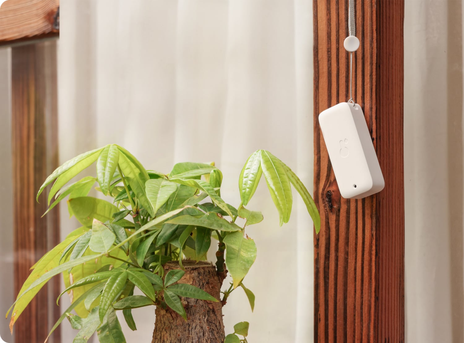 SwitchBot Hygrometer an einer Wand hängend